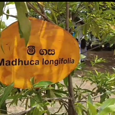 Whatsapp Image 2023 09 26 At 15.47.33 1